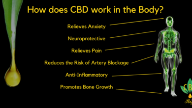 Photo of How CBD Works With The Body