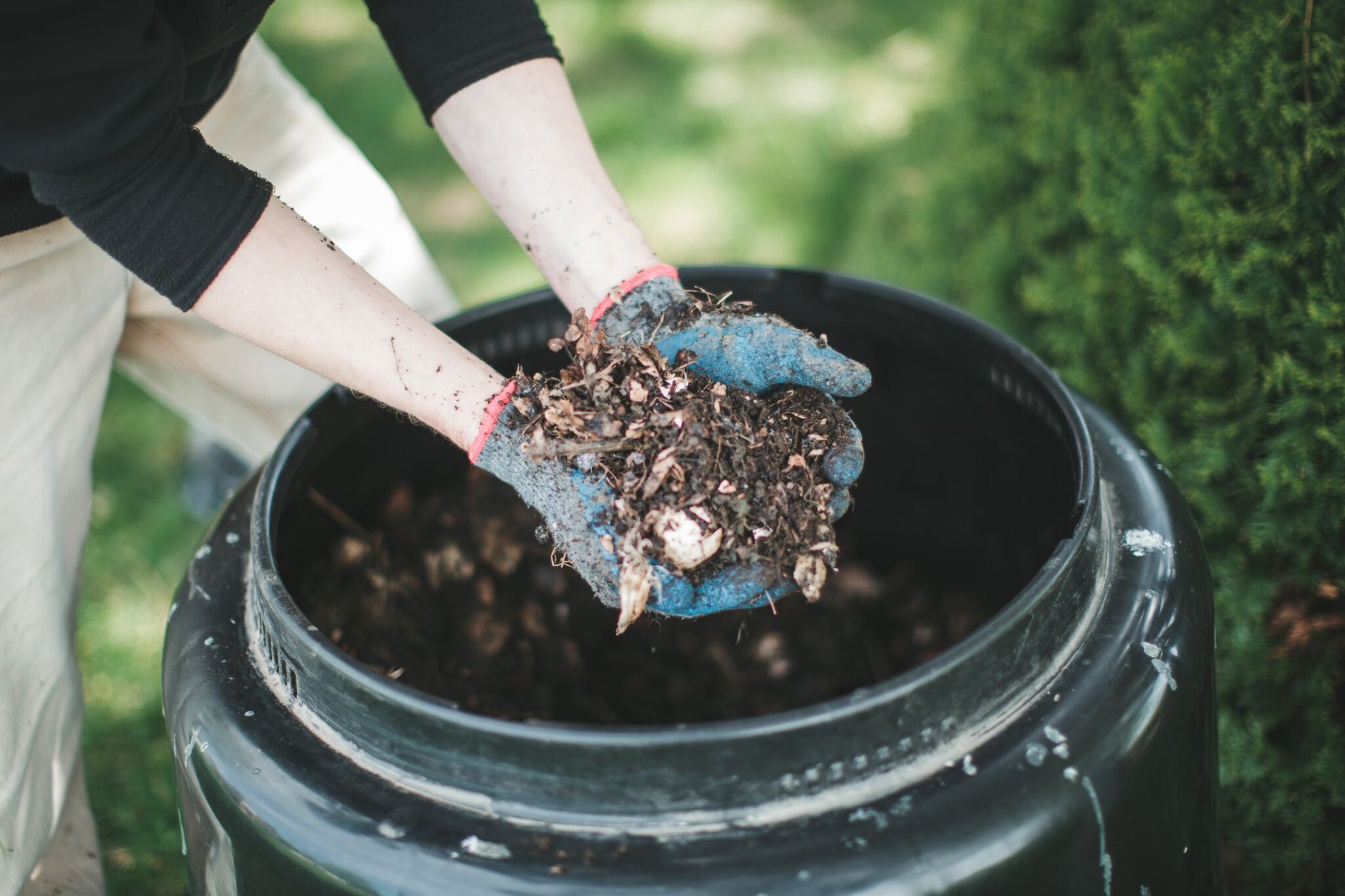 Compost Bins Unveiled Tips for Successful Composting and Odor Control