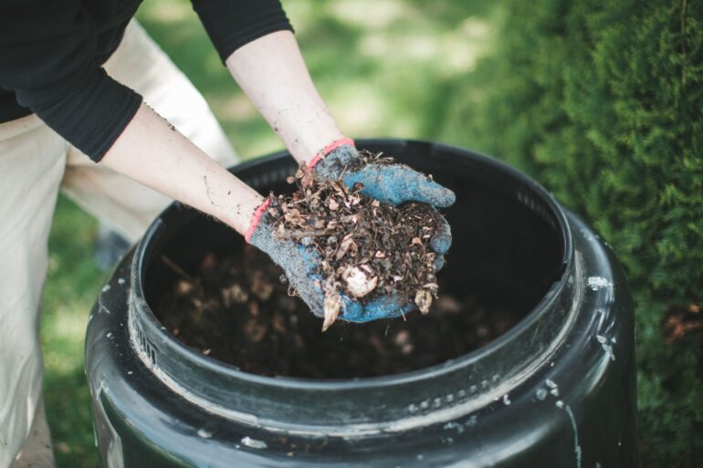 Compost Bins Unveiled Tips for Successful Composting and Odor Control