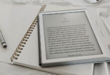 Photo of Beyond the Shelf: How Physical Books and eBooks Enrich Our Reading Experience