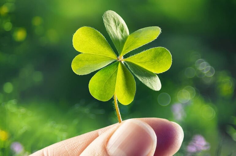 Role of Luck in Career Advancement
