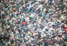 Photo of PET Continues to Dominate Plastic Recycling in North America