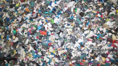 Photo of PET Continues to Dominate Plastic Recycling in North America