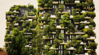 Photo of Building Green: How Eco-Friendly Practices are Transforming the Housing Industry